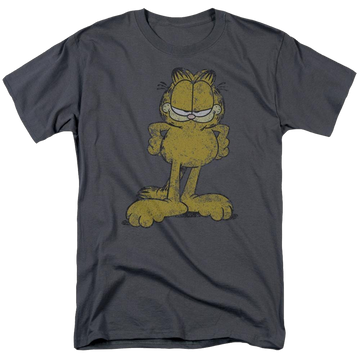 Charcoal men's regular fit t-shirt with Garfield Big Ol Cat graphic