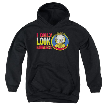 Black youth hoodie for ages 8 to 12 with Garfield I Only Look Harmless graphic