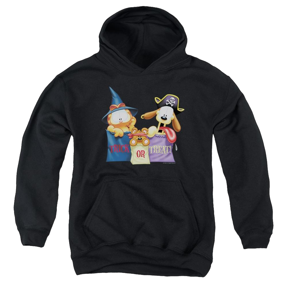 Garfield Grab Bags - Youth Hoodie (Ages 8-12) Youth Hoodie (Ages 8-12) Garfield
