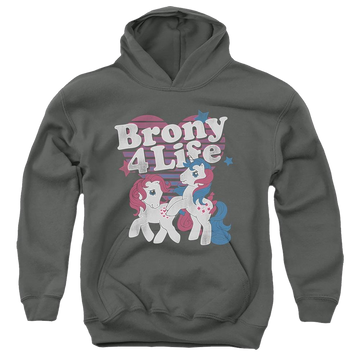 Charcoal youth hoodie for ages 8 to 12 with My Little Pony Classic Brony 4 Life graphic
