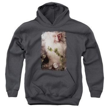 Charcoal youth hoodie for ages 8 to 12 with The Hobbit Balin graphic