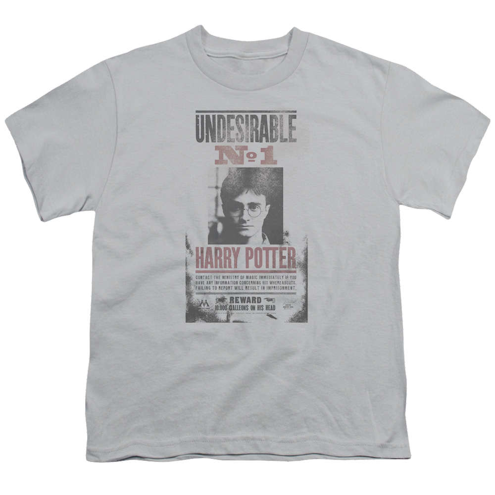 Harry Potter Undesirable No1 Distressed - Youth T-Shirt Youth T-Shirt (Ages 8-12) Harry Potter
