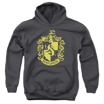 Harry Potter Hufflepuff Crest - Youth Hoodie Youth Hoodie (Ages 8-12) Harry Potter