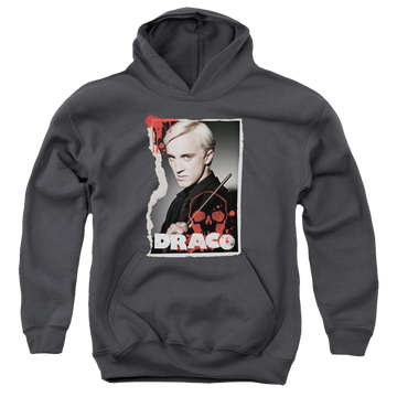 Charcoal youth hoodie for ages 8 to 12 with Harry Potter Draco Frame graphic