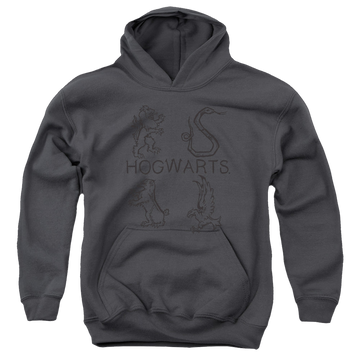 Harry Potter Literary Crests - Youth Hoodie Youth Hoodie (Ages 8-12) Harry Potter