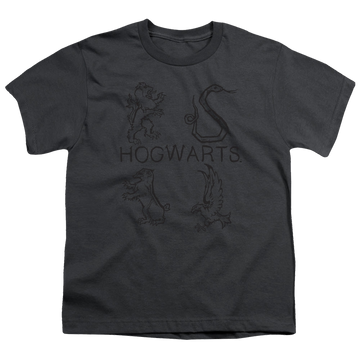 Harry Potter Literary Crests - Youth T-Shirt Youth T-Shirt (Ages 8-12) Harry Potter