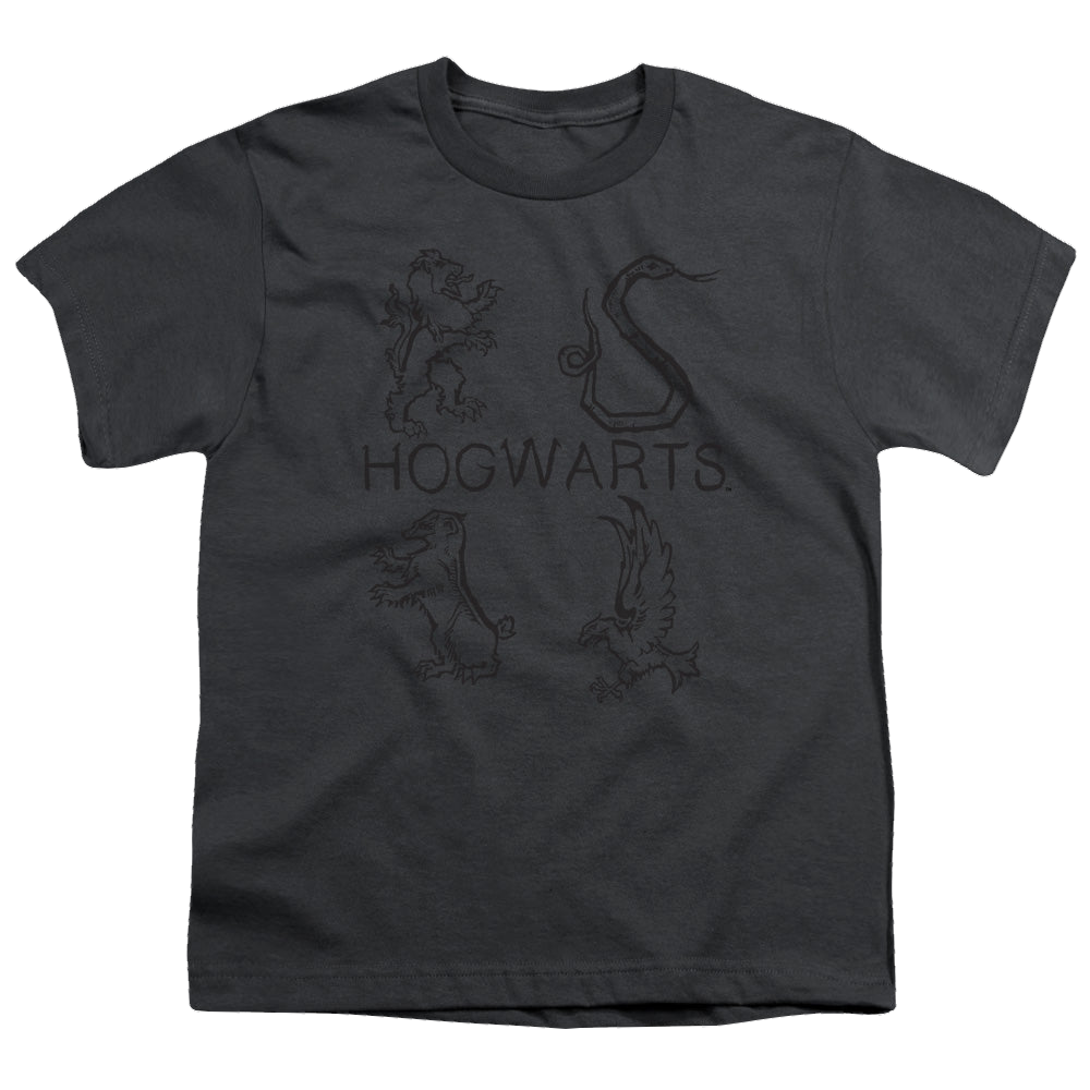 Harry Potter Literary Crests - Youth T-Shirt Youth T-Shirt (Ages 8-12) Harry Potter