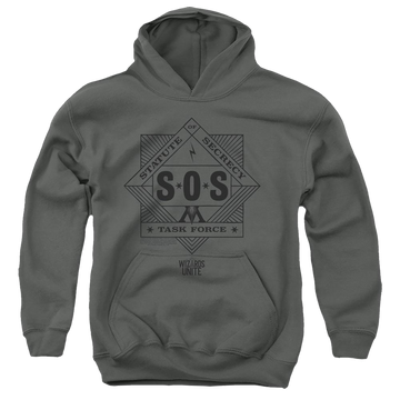 Charcoal youth hoodie for ages 8 to 12 with Harry Potter Sos Task Force graphic