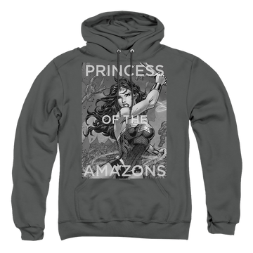 Justice League Princess Of The Amazons Pullover Hoodie Pullover Hoodie Wonder Woman