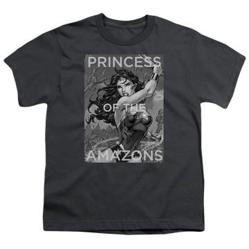 Wonder Woman Princess Of The Amazons - Youth T-Shirt Youth T-Shirt (Ages 8-12) Wonder Woman