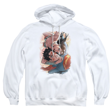 Justice League Love Birds Pullover Hoodie Pullover Hoodie Justice League