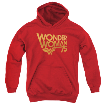 Wonder Woman Wonder Woman 75Th Anniversary Gold Logo - Youth Hoodie Youth Hoodie (Ages 8-12) Wonder Woman