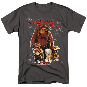 Charcoal men's regular fit t-shirt with Labyrinth Should You Need Us graphic