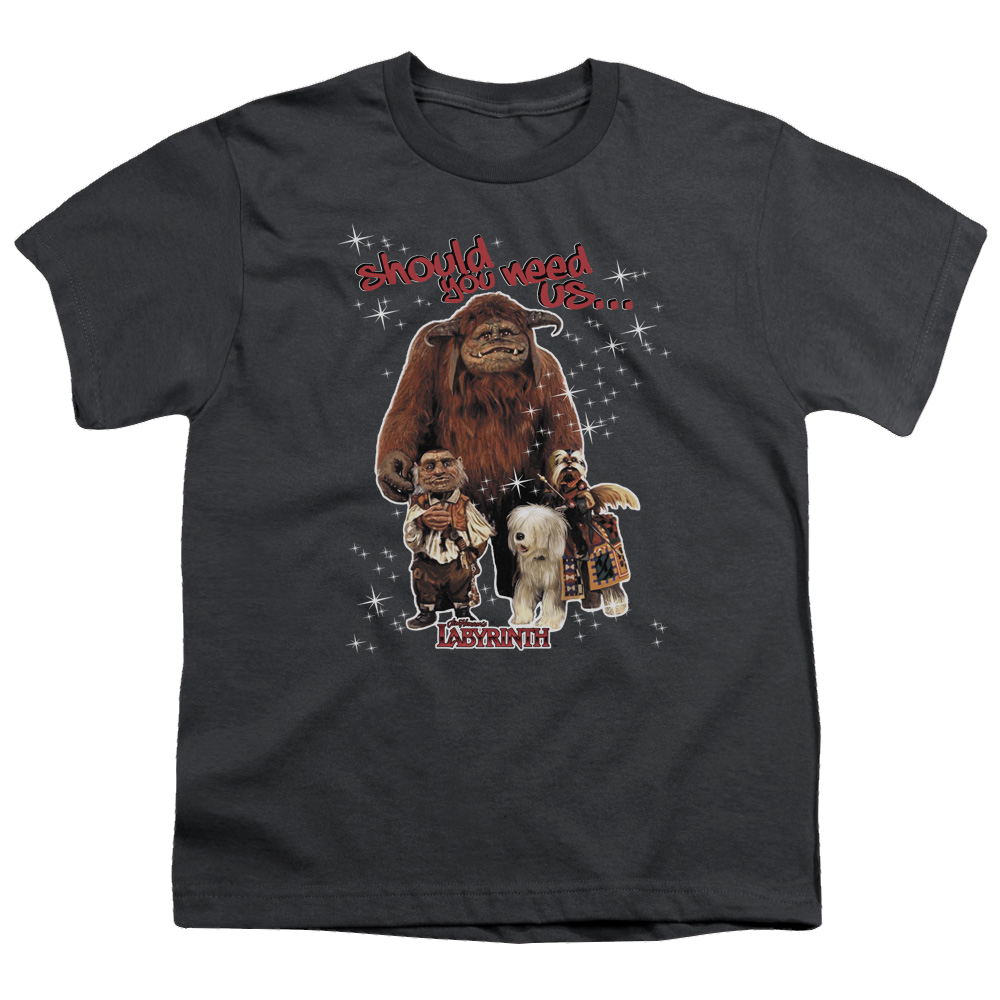 Labyrinth Should You Need Us Youth T-Shirt (Ages 8-12) Youth T-Shirt (Ages 8-12) Labyrinth