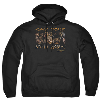 Labyrinth Say Your Right Words Pullover Hoodie Pullover Hoodie Labyrinth