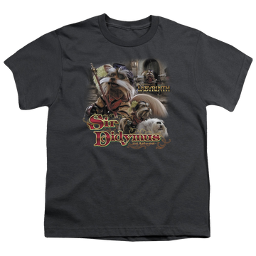 Charcoal youth t-shirt for ages 8 to 12 with Labyrinth Sir Didymus graphic