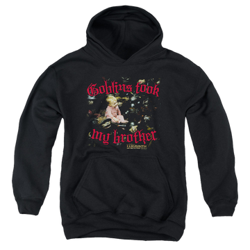 Labyrinth Goblins Took My Brother Youth Hoodie (Ages 8-12) Youth Hoodie (Ages 8-12) Labyrinth