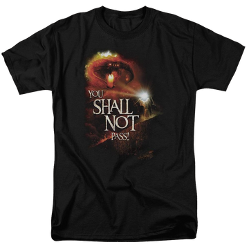 Black men's regular fit t-shirt with Lord of the Rings You Shall Not Pass graphic