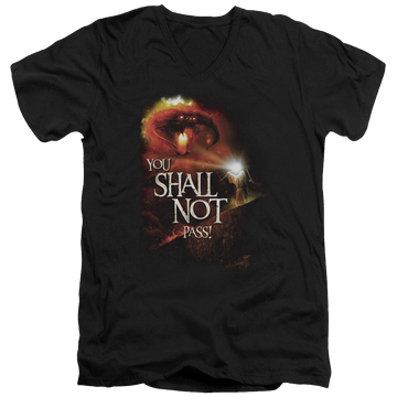 Black men's v-neck t-shirt with Lord of the Rings You Shall Not Pass graphic