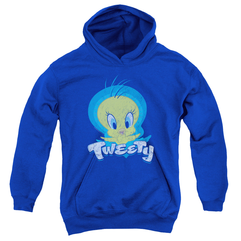 Looney Tunes Tweety Swirl - Youth Hoodie Youth Hoodie (Ages 8-12) Looney Tunes