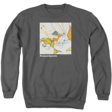 Charcoal men's crewneck sweatshirt with Looney Tunes Squad Goals graphic