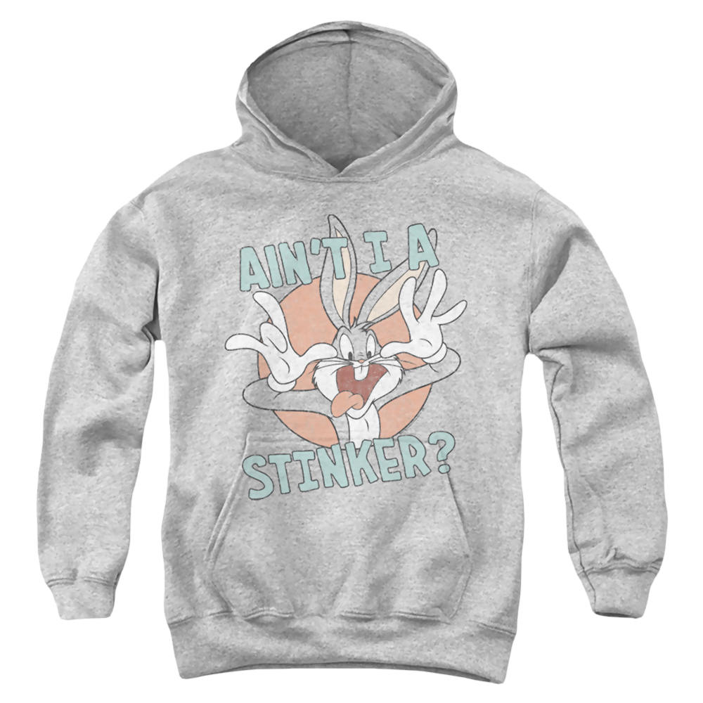 Looney Tunes Aint I A Stinker - Youth Hoodie Youth Hoodie (Ages 8-12) Looney Tunes