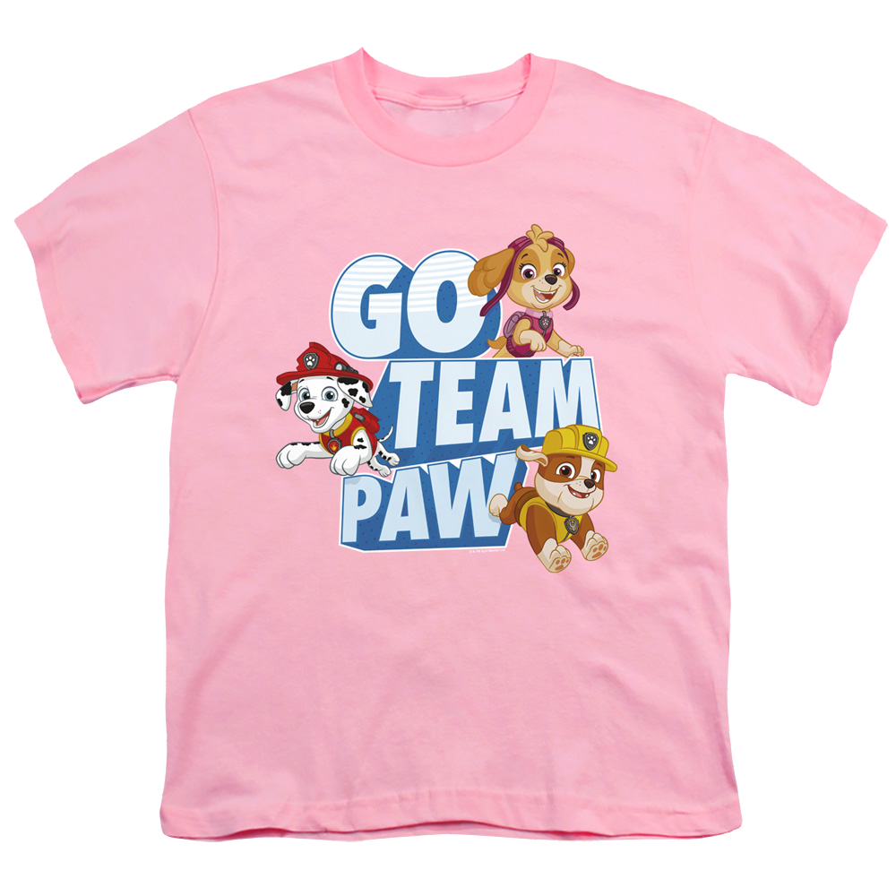 Paw Patrol Go Team Paw - Youth T-Shirt Youth T-Shirt (Ages 8-12) Paw Patrol