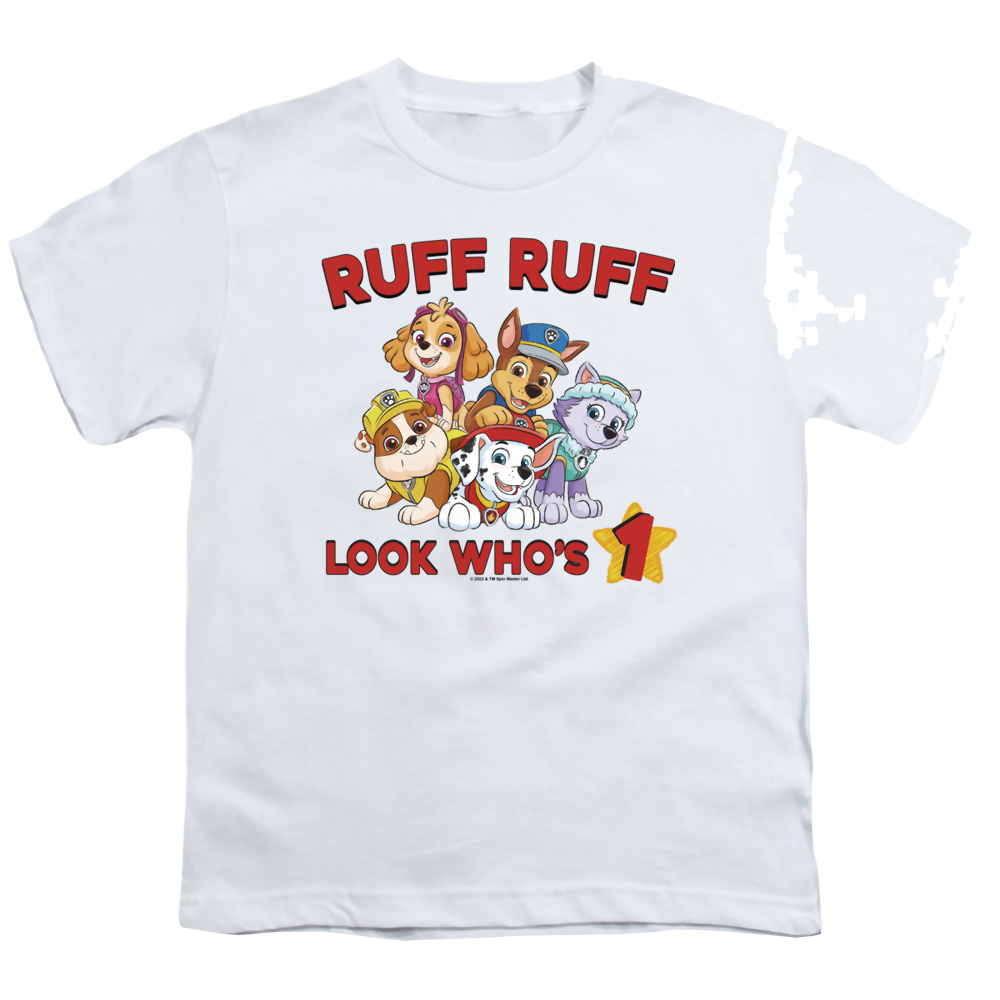 Paw Patrol Ruff Ruff Birthday - Youth T-Shirt Youth T-Shirt (Ages 8-12) Paw Patrol