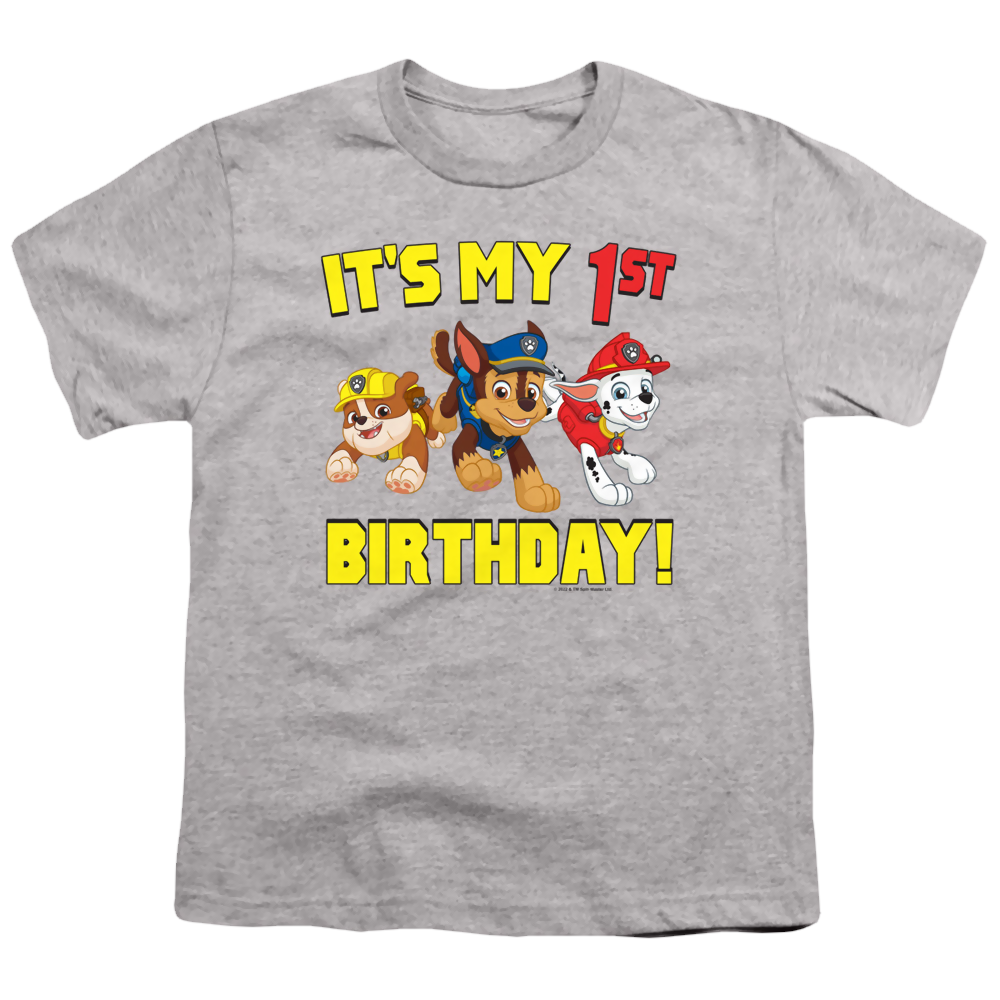 Paw Patrol Group Happy Birthday - Youth T-Shirt Youth T-Shirt (Ages 8-12) Paw Patrol