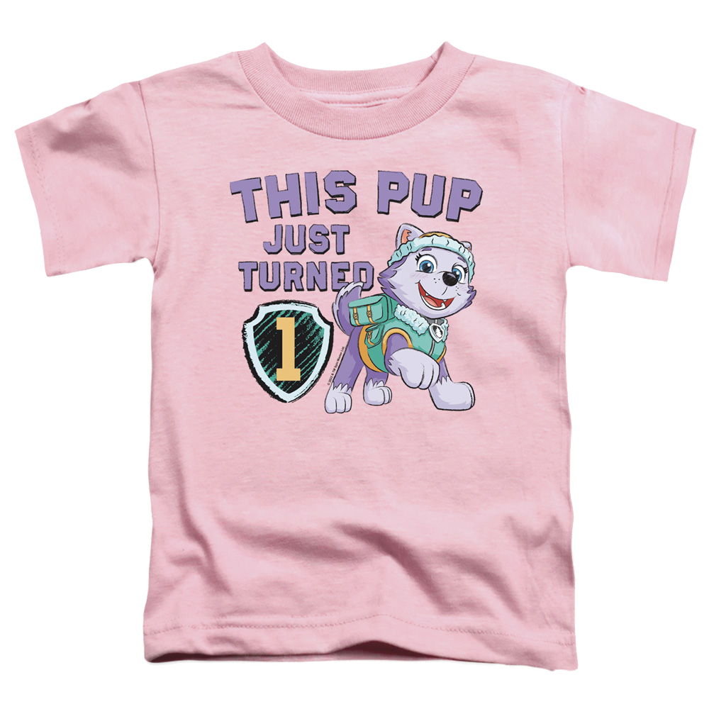 toddler girl paw patrol shirt