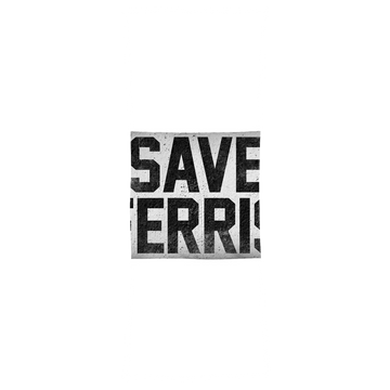 Ferris Bueller's Day Off Ferris Buelle - Save Ferris Body Pillow body pillow