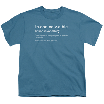Slate youth t-shirt for ages 8 to 12 with The Princess Bride Definition graphic