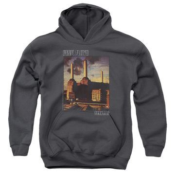 Charcoal youth hoodie for ages 8 to 12 with Pink Floyd Faded Animals graphic