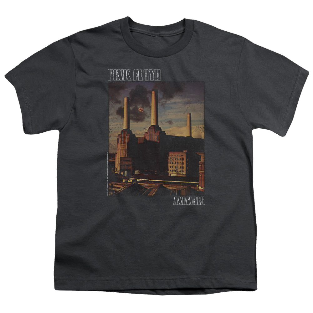 Pink Floyd Faded Animals - Youth T-Shirt Youth T-Shirt (Ages 8-12) Pink Floyd