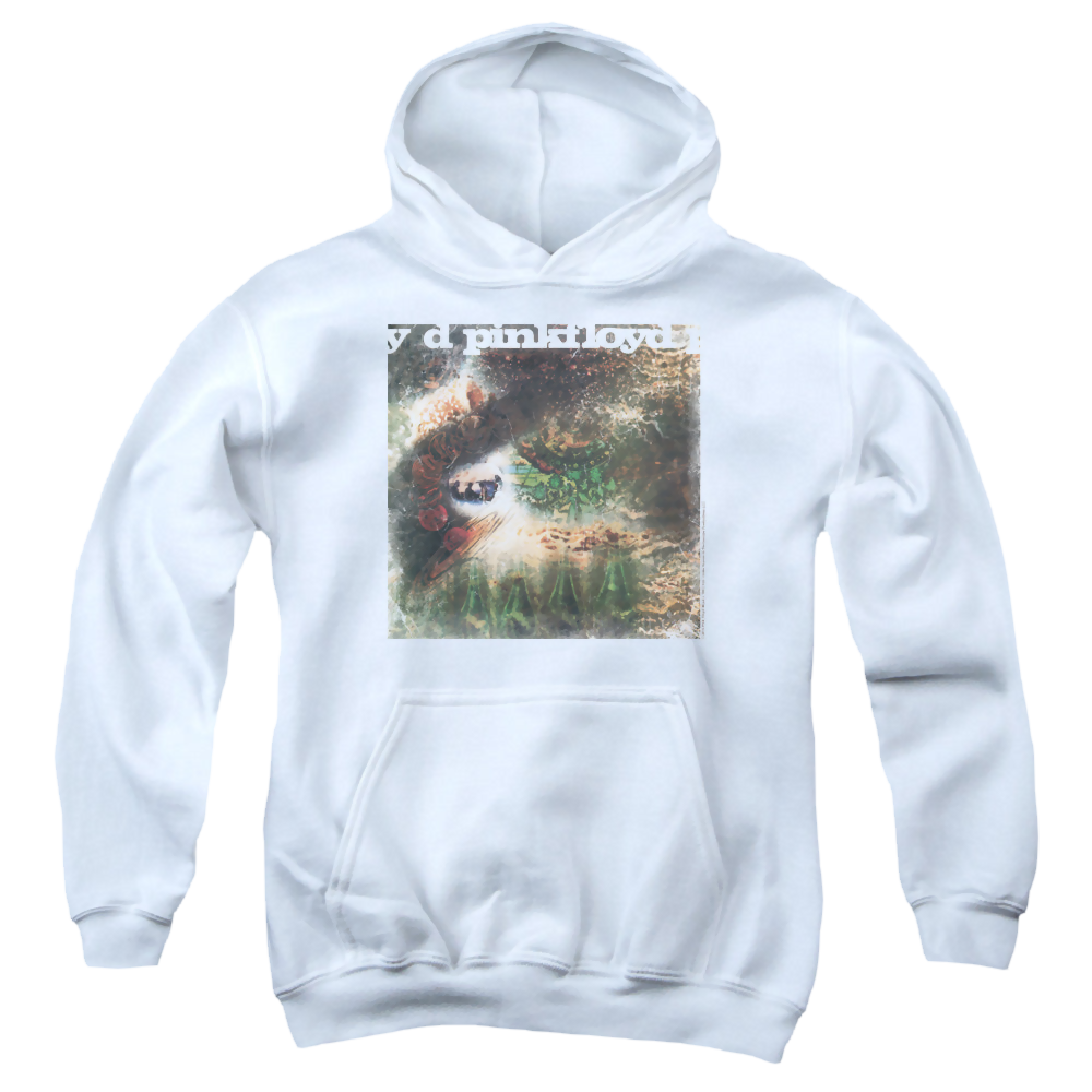 Pink Floyd Saucerful Of Secrets - Youth Hoodie Youth Hoodie (Ages 8-12) Pink Floyd