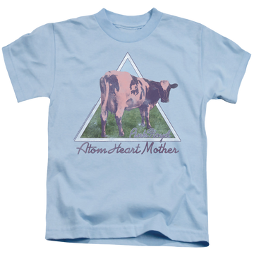 Light blue kid's t-shirt for ages 4 to 7 with Pink Floyd Atom Mother Heart Pyramid graphic