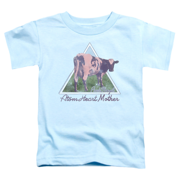 Light blue toddler t-shirt with Pink Floyd Atom Mother Heart Pyramid graphic