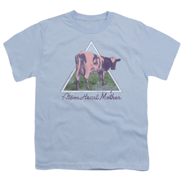 Light blue youth t-shirt for ages 8 to 12 with Pink Floyd Atom Mother Heart Pyramid graphic