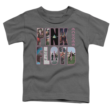 Charcoal toddler t-shirt with Pink Floyd Cover graphic
