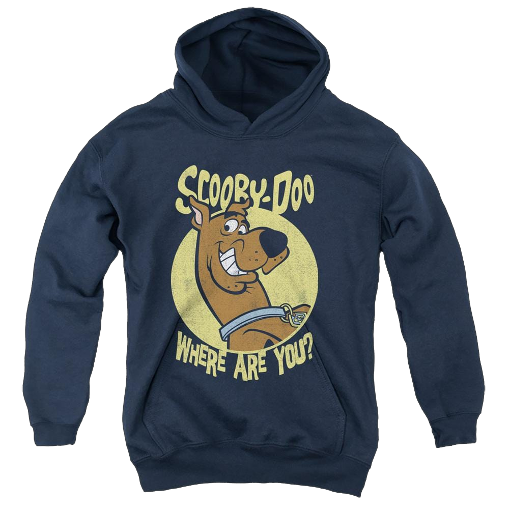 Scooby Doo Where Are You - Youth Hoodie Youth Hoodie (Ages 8-12) Scooby Doo