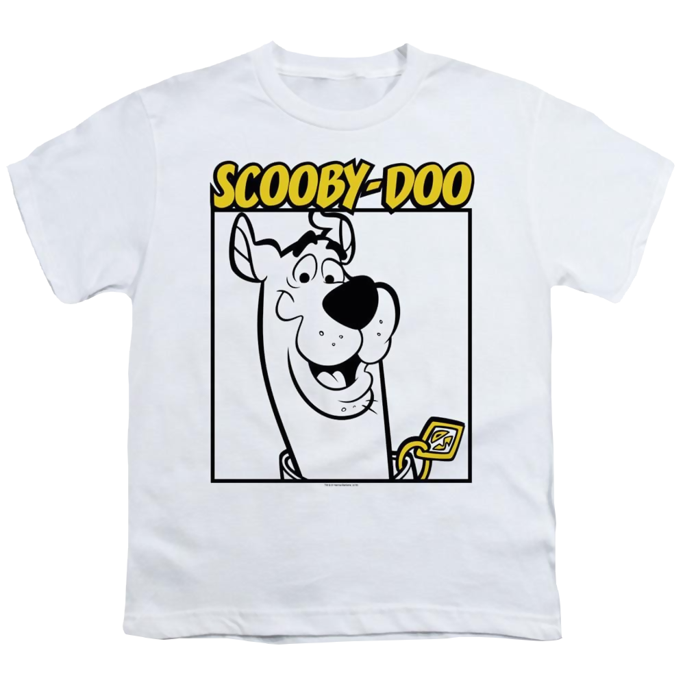 Scooby Doo Scooby Square - Youth T-Shirt Youth T-Shirt (Ages 8-12) Scooby Doo