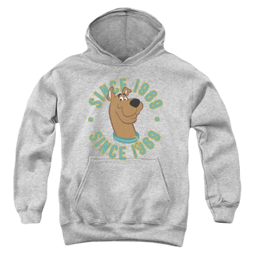 Athletic heather youth hoodie for ages 8 to 12 with Scooby Doo Scooby 1969 graphic