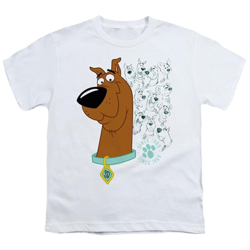 White youth t-shirt for ages 8 to 12 with Evolution Of Scooby Doo graphic