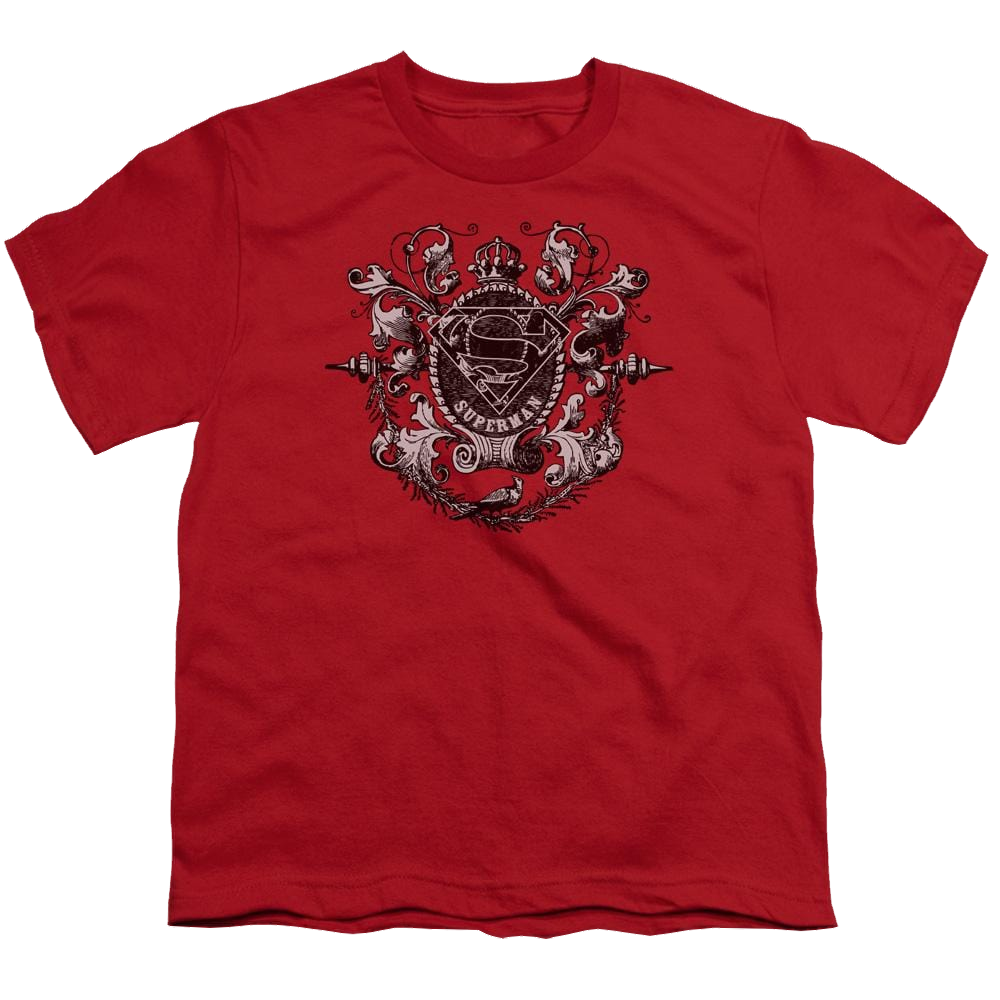 Superman All Hail Superman - Youth T-Shirt Youth T-Shirt (Ages 8-12) Superman