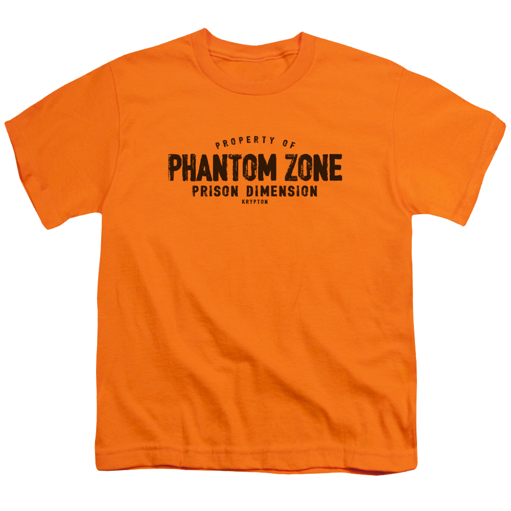 Superman Phantom Zone - Youth T-Shirt Youth T-Shirt (Ages 8-12) Superman