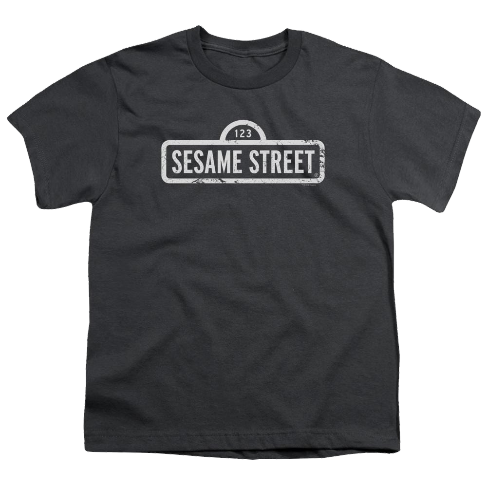 Sesame Street One Color Logo Youth T-Shirt (Ages 8-12) Youth T-Shirt (Ages 8-12) Sesame Street