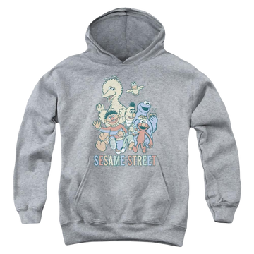 Sesame Street Colorful Group Youth Hoodie (Ages 8-12) Youth Hoodie (Ages 8-12) Sesame Street