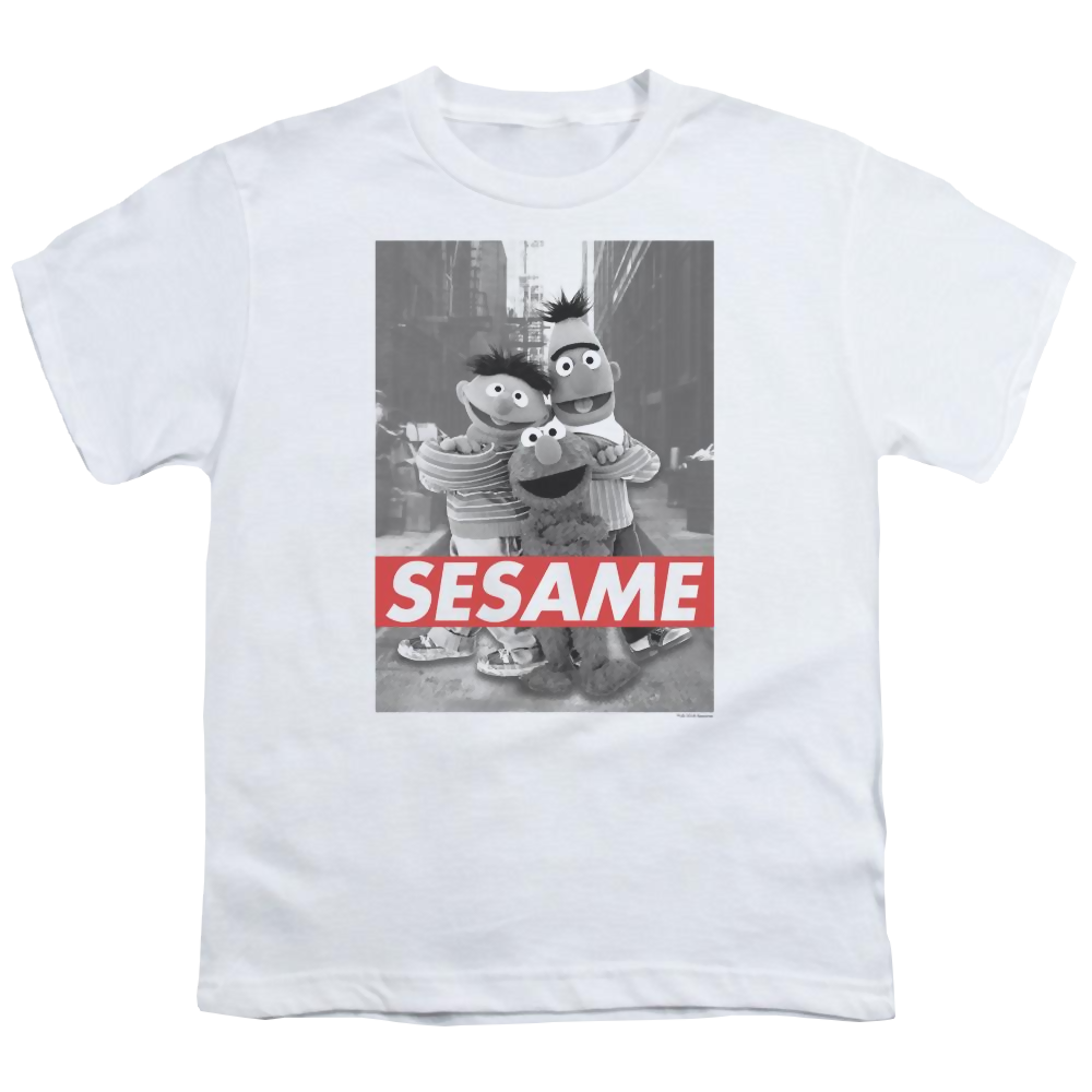 Sesame Street Sesame Youth T-Shirt (Ages 8-12) Youth T-Shirt (Ages 8-12) Sesame Street