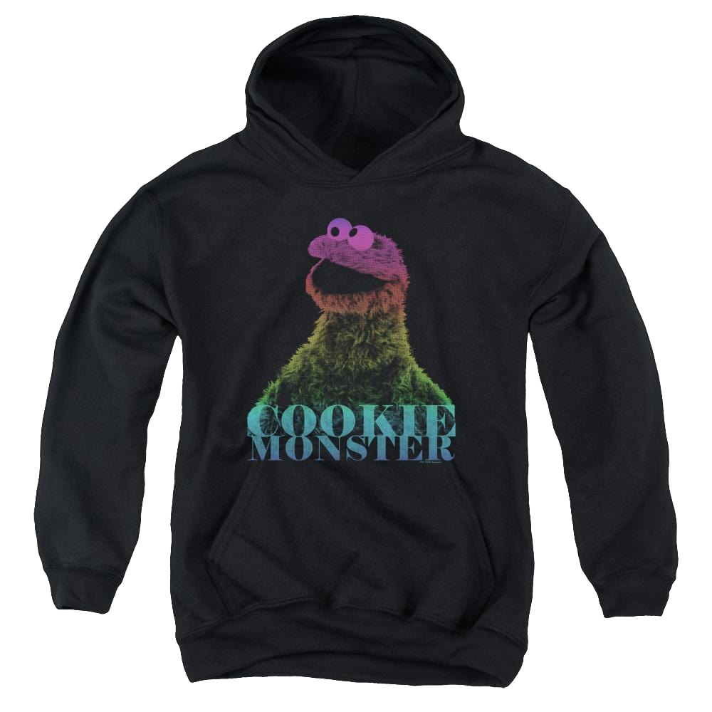 Sesame Street Cm Halftone Youth Hoodie (Ages 8-12) Youth Hoodie (Ages 8-12) Sesame Street