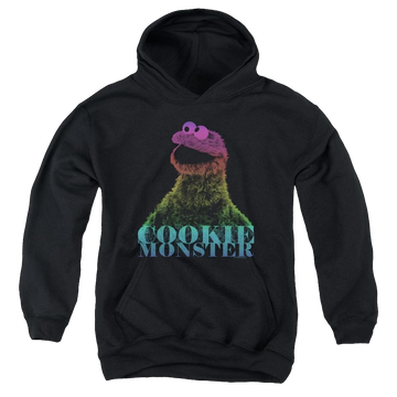 Sesame Street Cm Halftone Youth Hoodie (Ages 8-12) Youth Hoodie (Ages 8-12) Sesame Street